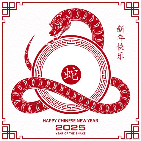 2025年生肖|2025年属什么生肖 2025年的生肖是什么